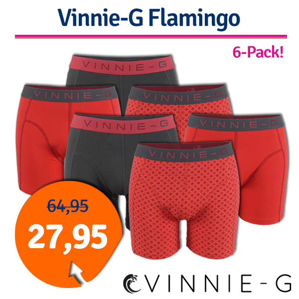 Een Dag Actie - Dagaanbieding Vinnie-G Boxershorts Flamingo 6-Pack