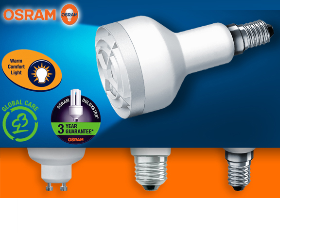 1 Day Fly - 10 Osram Spaarlampen