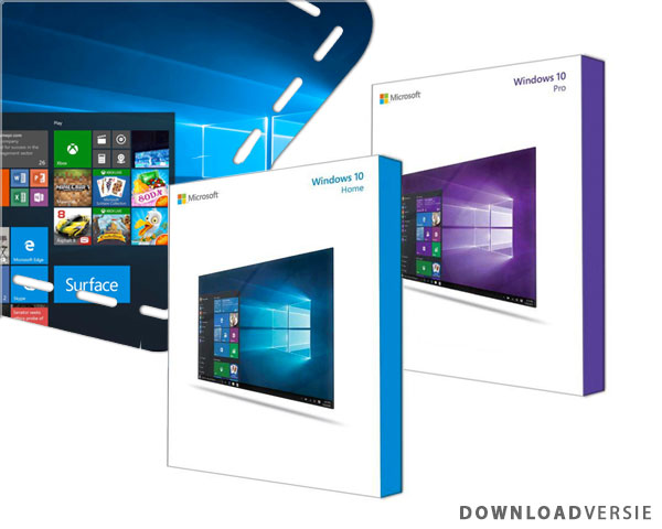 1 Day Fly - Microsoft Windows 10 Home Of Professional