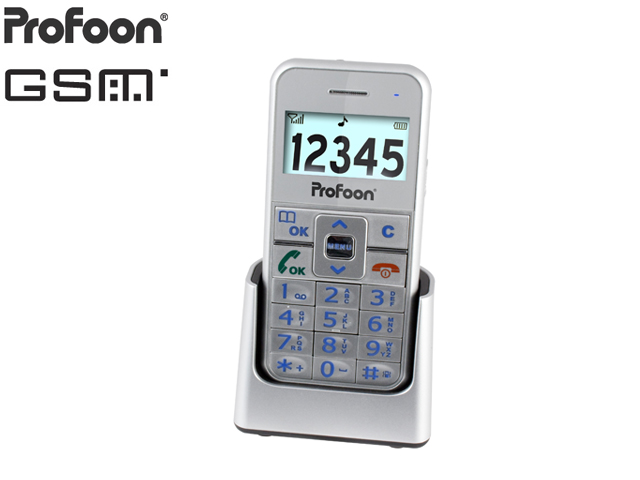 1 Day Fly - Profoon Big Button Gsm