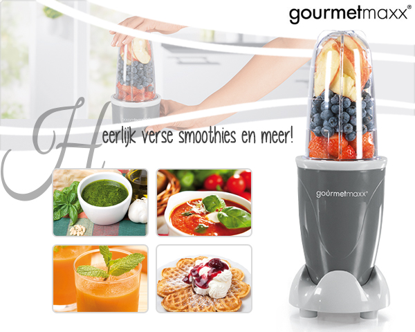 1 Day Fly Lady - Gourmetmaxx Power Smoothie Maker