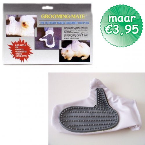 Buy This Today - Grooming Mate, Borstel Handschoen Voor Hond, Kat Of Knaagdie