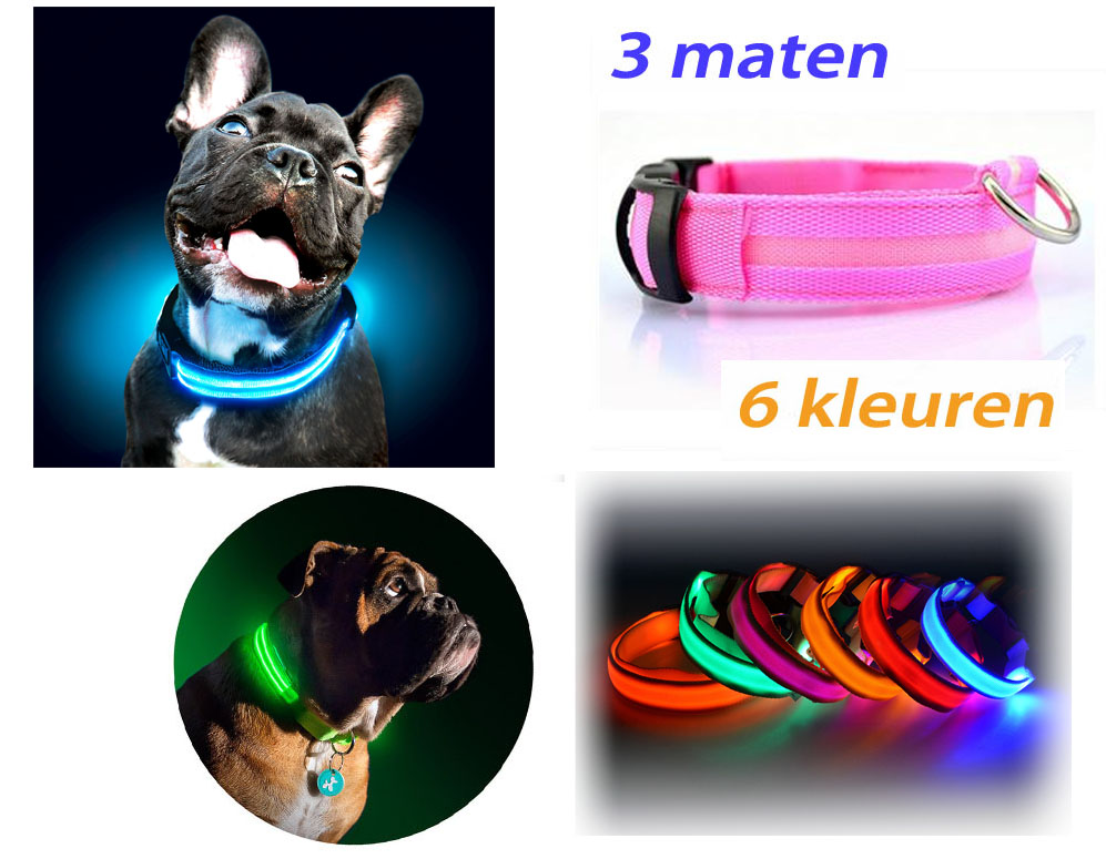 Click to Buy - LED halsband voor je hond