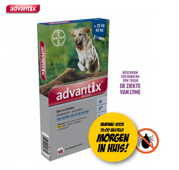Dagknaller - Advantix Spot On 400 Anti-Vlo En Teek Vanaf 25 Kg - 6 Pipetten