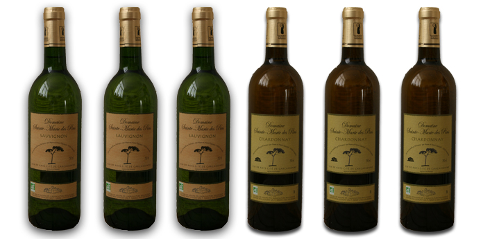 Day Dealers - Combi wijnpakket, 3 flessen Des Pins Chardonnay & 3 flessen Des Pins Sauvignon