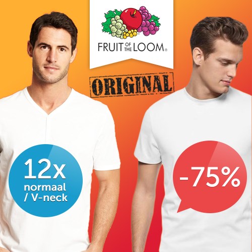 Deal Digger - 12 X Witte Fruit Of The Loom T-shirts Normaal Of V-neck