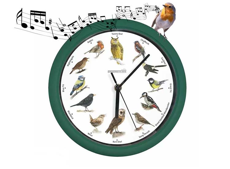 Deal Donkey - Starlyf Birdsong Clock - Klok Met Vogelgeluiden Elk Uur
