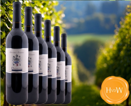 Groupdeal - 6 flessen rode Portugese Dignitas Reserva 2004 wijn 50% korting!