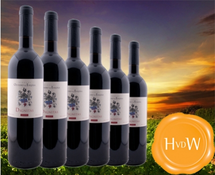 Groupdeal - 6 flessen rode Portugese Dignitas Reserva 2005 wijn 50% korting!