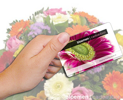 Groupdeal - Bloemencadeaubon voor de helft van de prijs! Een bosje bloemen maakt iedereen gelukkig!