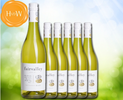 Groupdeal - Fruitige Zuid-Afrikaanse Sauvignon Blanc per doos van 6!