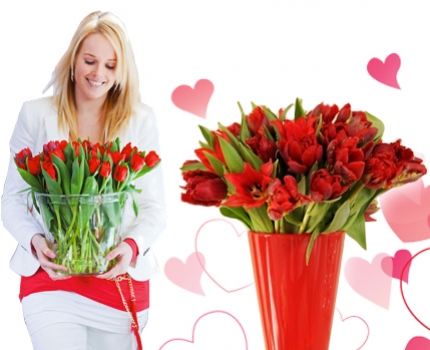 Groupdeal - Valentijnspakket van 24 prachtige Rode Tulpen!