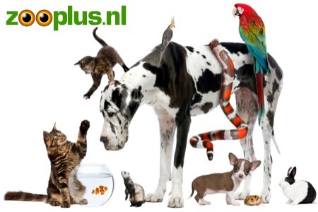 Groupon - € 10 Voor Een Waardebon Van € 30 Te Gebruiken Op Het Gehele Assortiment Van Dieren-webwinkel Zooplus