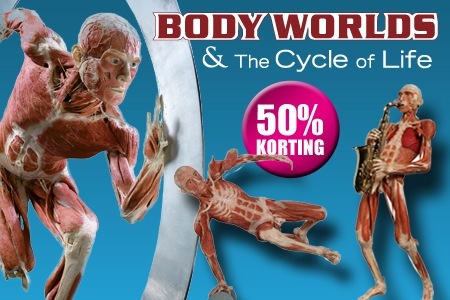 Groupon - Body Worlds & The Cycle Of Life @ Lpii In Las Palmas, Rotterdam : Bespaar 50%