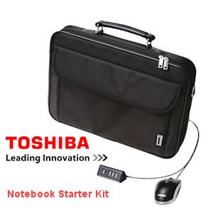 iBood - Toshiba Notebook Starter Kit 17 inch (Entry Level Case, Mouse, Usb-Hub)