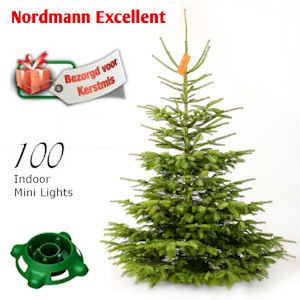 iBood - Versgekapte Nordmann Kerstboom Premium Excellent kwaliteit van 1.75 meter met 100 witte lampjes en voet