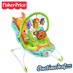 One Time Deal Kids - Fisher-price Precious Planet Happy Giraffe
