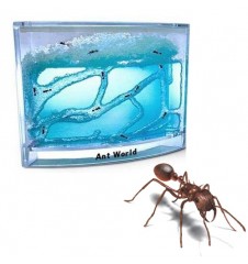 Mega Gadgets - Ant World