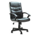 One Day Price - Lederen fauteuil + Nexus One nu Leverbaar!
