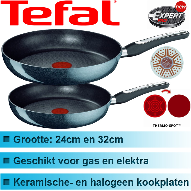 Today's Best Deal - 2x Tefal Efficia Koekenpannen
