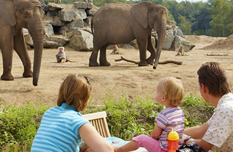 TravelBird - Voer de viervoeters op Vakantiepark Dierenbos. Nu vanaf €129,- per chalet incl. gratis toegang tot safaripark en 5 andere dagattracties
