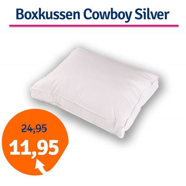 Een Dag Actie - Boxkussen Cowboy 50 X 60 X 10 Cm Silver Een Dag Actie - Boxkussen Cowboy 50 X 60 X 10 Cm Silver