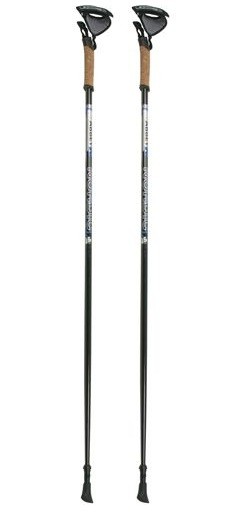 Een Dag Actie - Carbon Nordic Walking Stokken