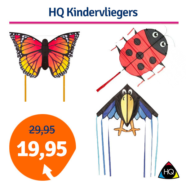 Een Dag Actie - Dagaanbieding Kindervliegers