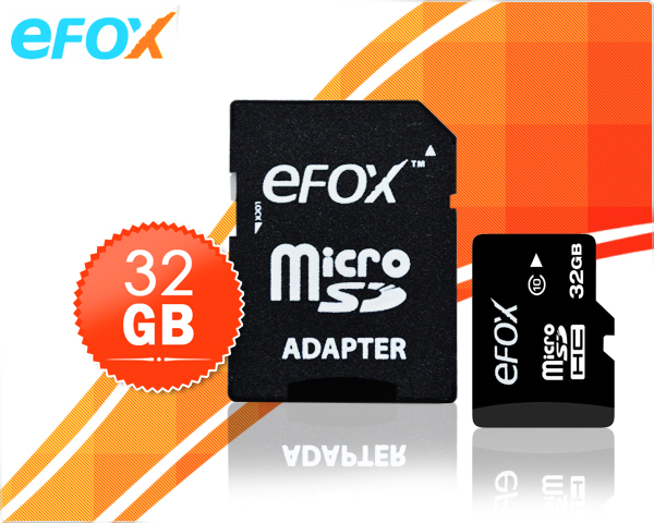 1 Day Fly - 32 Gb Efox Micro Sd Kaart + Adapter