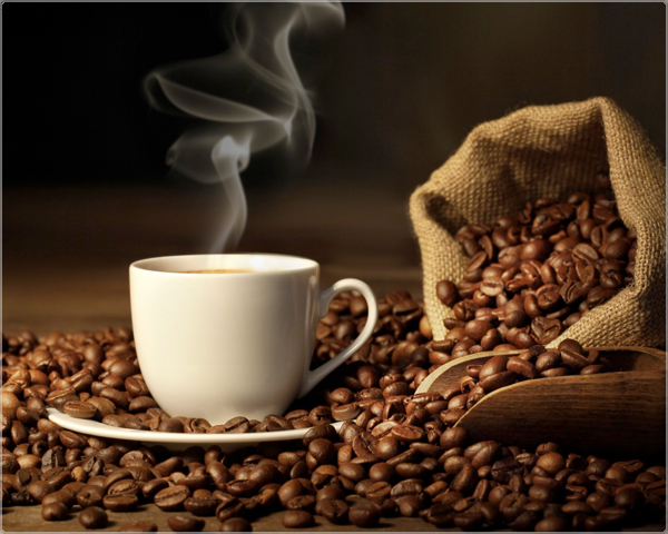 1 Day Fly - 3Kg Arabica En Robusta Koffiebonen 1 Day Fly - 3Kg Arabica En Robusta Koffiebonen