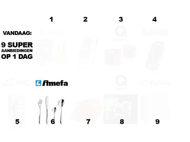 1 Day Fly - Amefa 16-Delige Bestekset