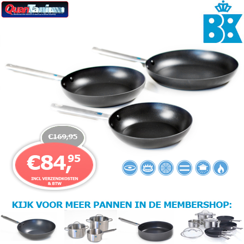 1 Day Fly - Bk Excelent Pannenset 1 Day Fly - Bk Excelent Pannenset