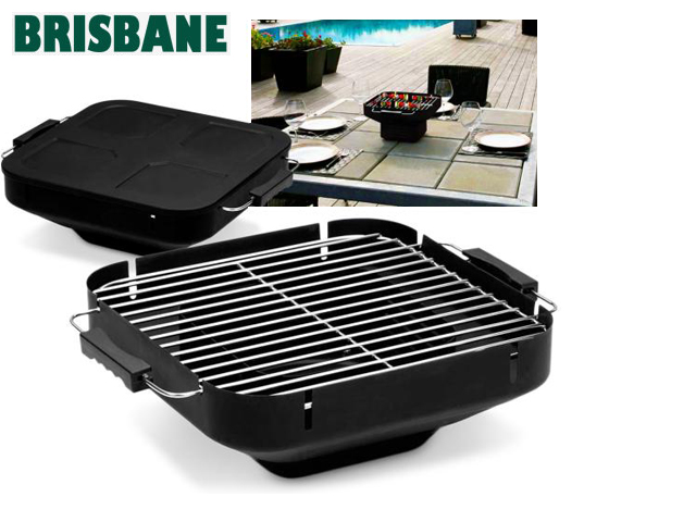 1 Day Fly - Brisbane Tafel-bbq