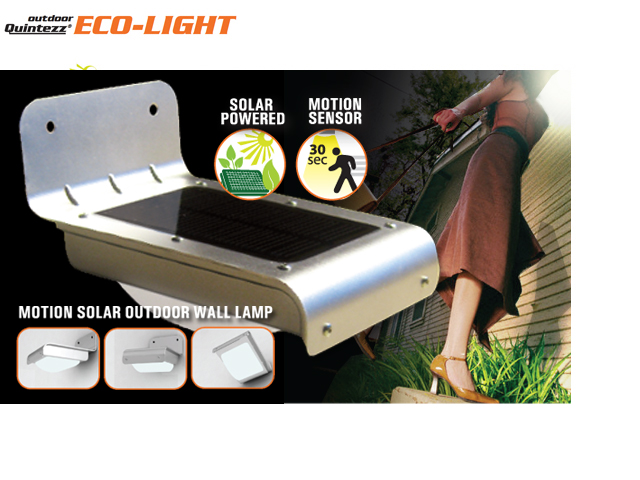 1 Day Fly - Eco Motion Light 1 Day Fly - Eco Motion Light
