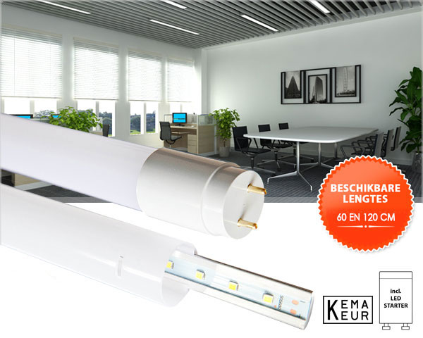 1 Day Fly - Led Buizen: De Ideale Vervanger Voor Oude Tl-Buizen 1 Day Fly - Led Buizen: De Ideale Vervanger Voor Oude Tl-Buizen