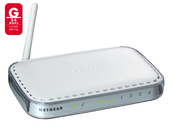 1 Day Fly - Netgear Draadloze Router