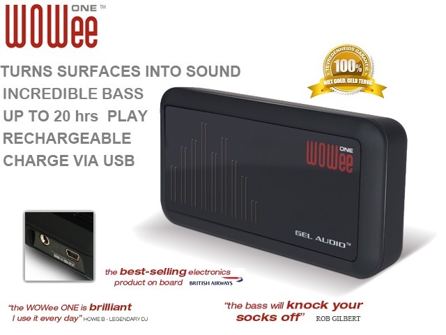 1 Day Fly - Wowee One Gel Speaker 1 Day Fly - Wowee One Gel Speaker