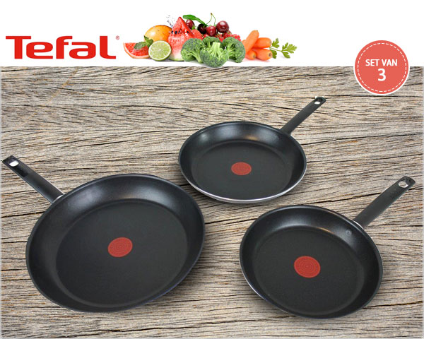 1 Day Fly Lady - 3-Delige Tefal Koekenpannenset 1 Day Fly Lady - 3-Delige Tefal Koekenpannenset