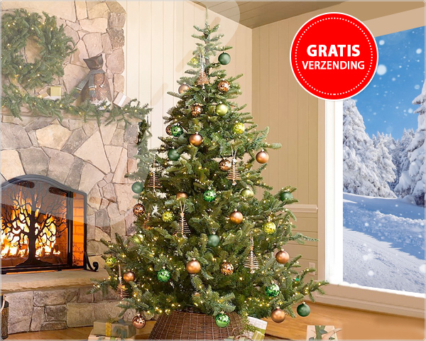 1 Day Fly Lady - A-Kwaliteit Nordmann Kerstbomen 1 Day Fly Lady - A-Kwaliteit Nordmann Kerstbomen