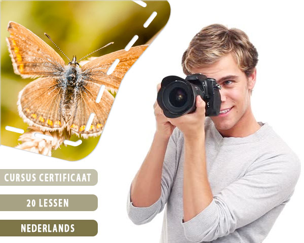 1 Day Fly Lady - Complete Professionele Fotografiecursus 1 Day Fly Lady - Complete Professionele Fotografiecursus
