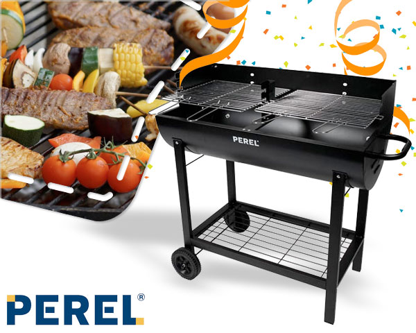 1 Day Fly Lady - Koningsdagspecial: Party Barbecue 1 Day Fly Lady - Koningsdagspecial: Party Barbecue
