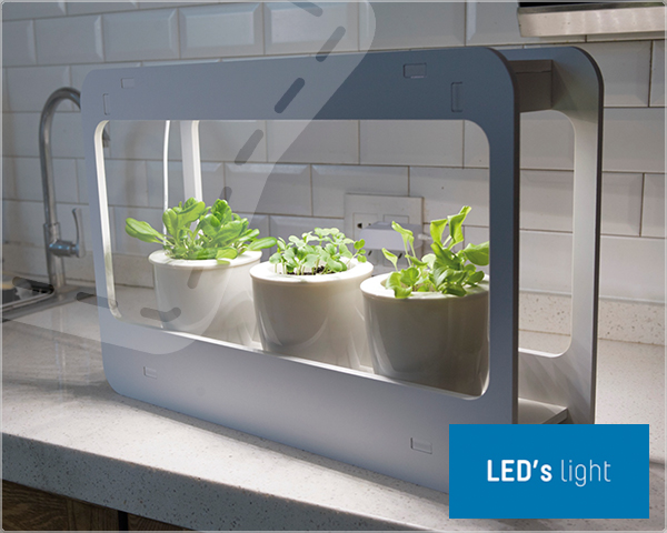 1 Day Fly Lady - Led Kweeklamp Voor Heel Het Jaar Groen In Huis! 1 Day Fly Lady - Led Kweeklamp Voor Heel Het Jaar Groen In Huis!