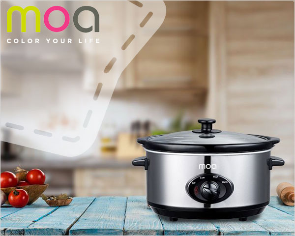1 Day Fly Lady - Moa Slowcooker 1 Day Fly Lady - Moa Slowcooker