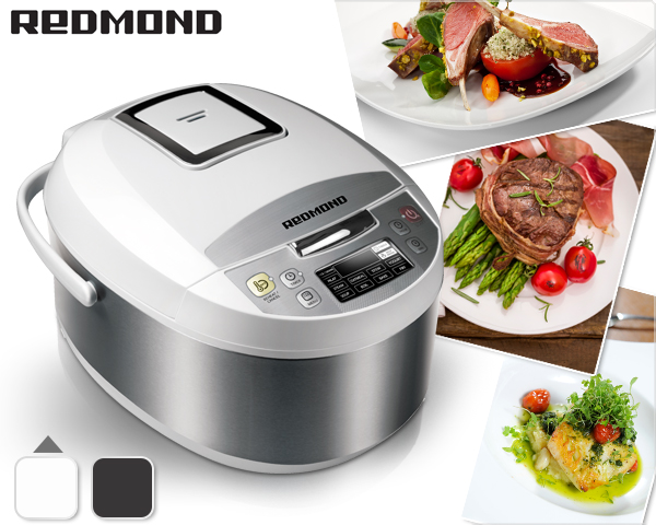 1 Day Fly Lady - Redmond Multicooker Met 10 Kookprogramma's