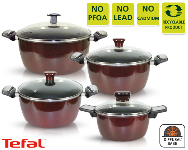 1 Day Fly Lady - Tefal Braadpannen In Vier Maten 1 Day Fly Lady - Tefal Braadpannen In Vier Maten