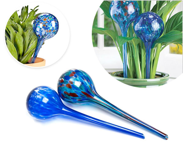 1 Day Fly Lady - Vier Aqua Globes Om Uw Planten Te Bewateren 1 Day Fly Lady - Vier Aqua Globes Om Uw Planten Te Bewateren