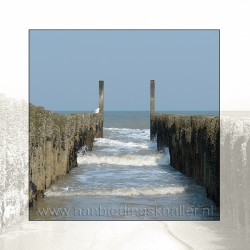 One Time Deal - Foto Zeepalen Bij Domburg! One Time Deal - Foto Zeepalen Bij Domburg!