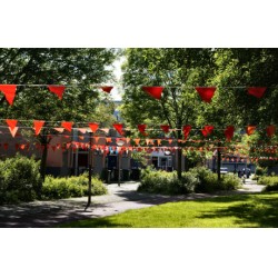 One Time Deal - Oranje Vlaggenlijn 12X10 Meter One Time Deal - Oranje Vlaggenlijn 12X10 Meter