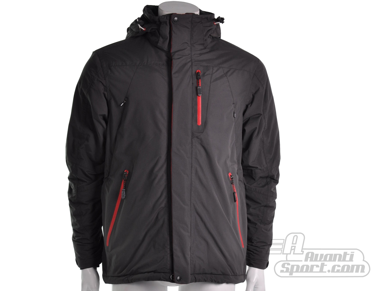 Avantisport - Falcon - Trenton - Herenjas Avantisport - Falcon - Trenton - Herenjas