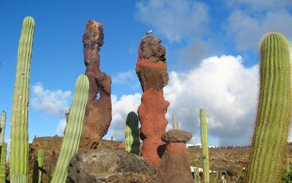 Bebsy - Kom tot rust op Lanzarote!